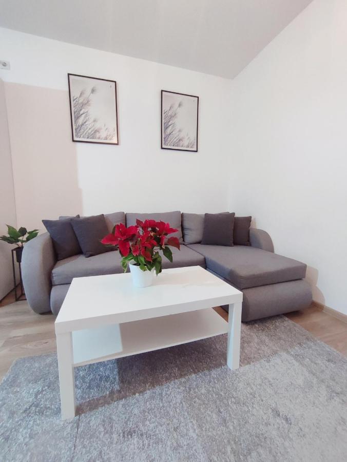Central Residence Μπάια Μάρε Εξωτερικό φωτογραφία